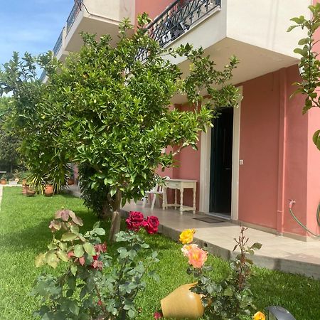 Lividio Apartment Lefkada City Bagian luar foto