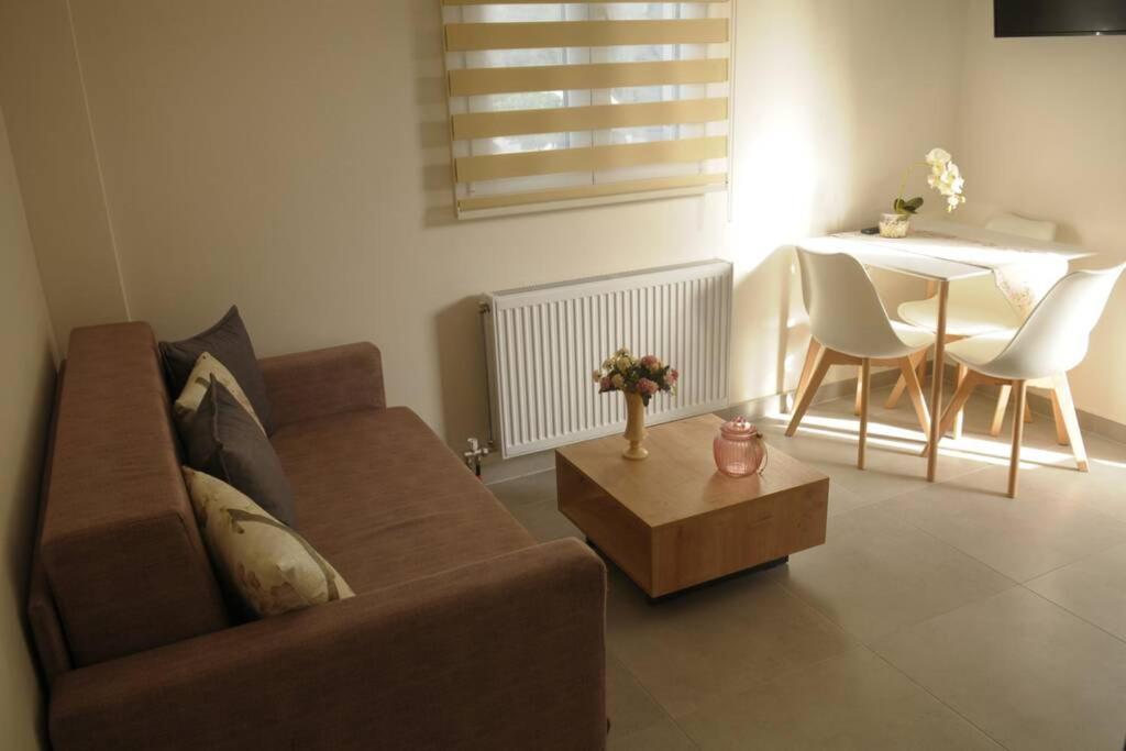 Lividio Apartment Lefkada City Bagian luar foto